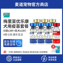 French Meria Eloquin Puppy Basic Immunization Package rabies vaccine dog pet 6 hook end import