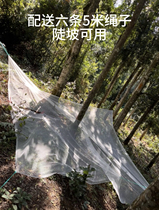 Star anise picking aid Star anise picking net Star anise fruit harvesting tool Star anise harvesting tool Star anise net Star anise net
