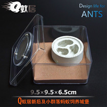 Q Ant House professional imitation ecological pet Ant new back nest concrete acrylic Villa senior ant queen pasture Castle