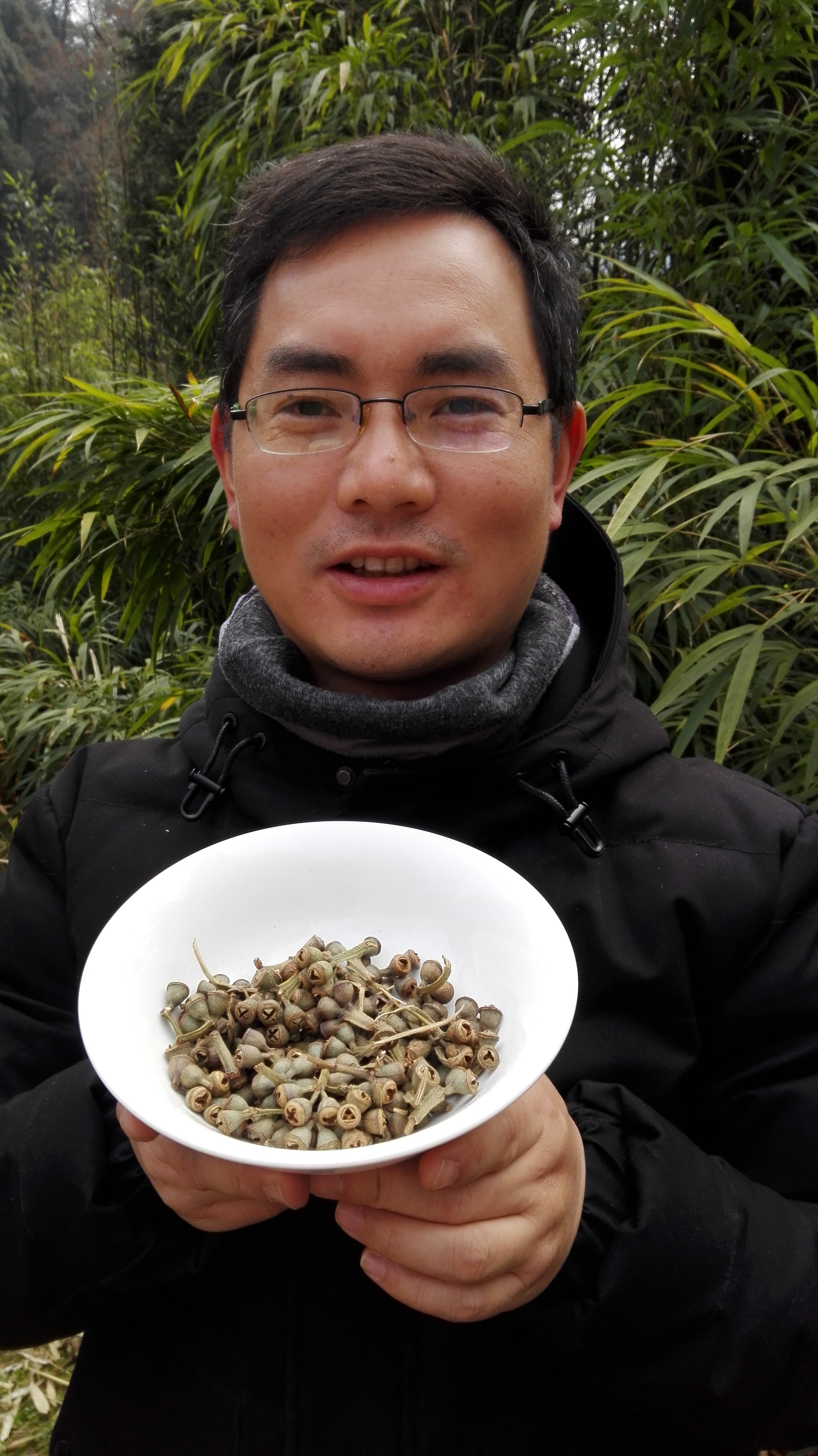 正宗云南野生一口钟一口盅蓝桉红喇叭花扣子七胜利果500克包邮