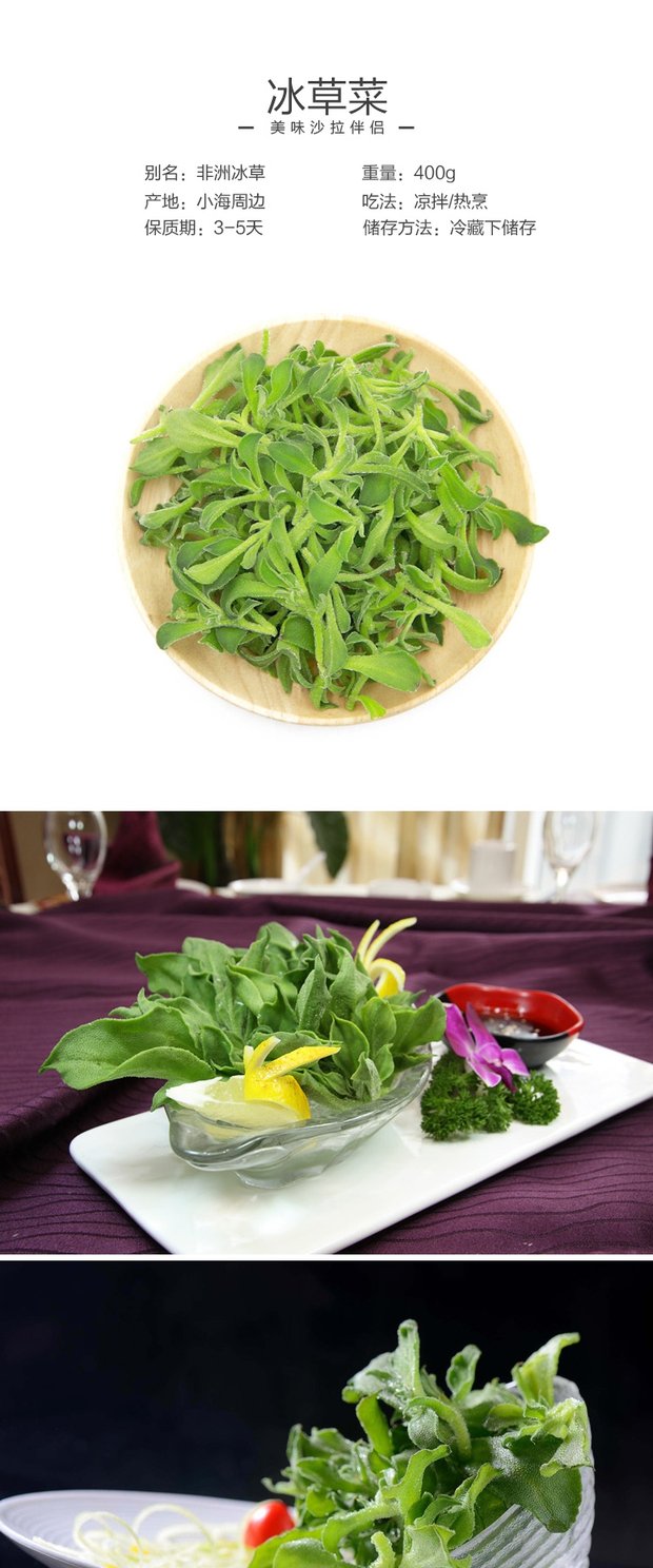 冰草菜400g新鲜蔬菜非洲冰草冰菜沙拉色拉菜5件包免邮