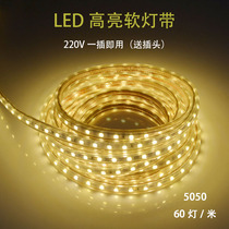 Silicone led light strip 5050 super bright 220V home living room integrated ceiling colorful soft light strip can cut and save electricity