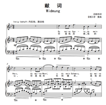 Dedication-Down B tune-Schumann Tune-Transposable F bG G bA B C D bE E tune Transposable High-definition positive spectrum