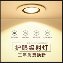 Recessed downlight 2021 new jane light household COB small spot light LED ceiling light living room ceiling three-color light