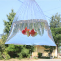 New creative simulation goldfish couple wedding photography props studio location photo childrens travel photo props