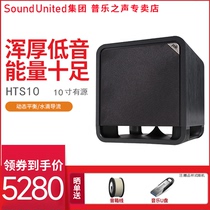 Polkaudio Pleasure HTS10 10 Active Subwoofer Home Heavy Subwoofer