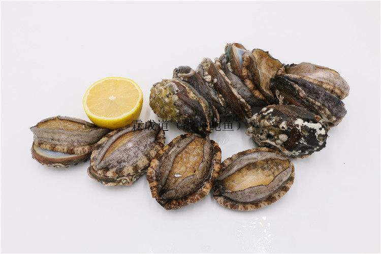 威海鲜活鲍鱼 新鲜鲍鱼 冷冻鲍鱼即食鲍鱼 鲜活鲍鱼 鲍鱼2斤包邮
