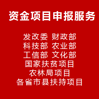 Professional team policy interpretation of government fund support project application Special Fund application materials service