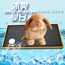 Little pet rabbit toy cooling springboard hamster supplies platform Chinchow pig rock cooling pedal Special