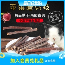 Zuli molar stick Apple branch 50g Fruit pet Rabbit Chinchilla Guinea Pig Dutch Pig live snack 500g
