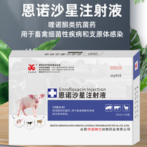 兽用恩诺沙星注射液宠物猫狗兔肠炎止痢支原体感染猪牛羊兽药针剂