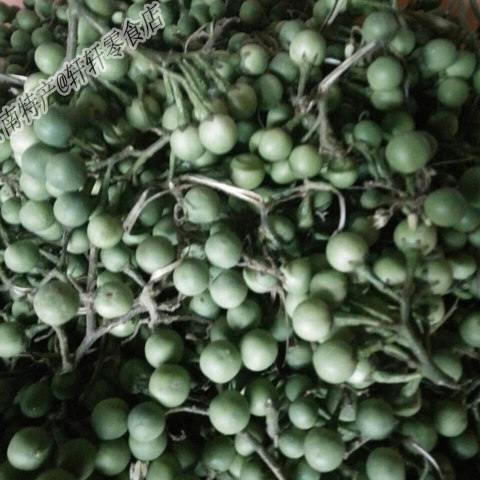 苦子 傣族小苦果苦子果特产苦茄大苦子果苦凉果野果小圆茄青茄