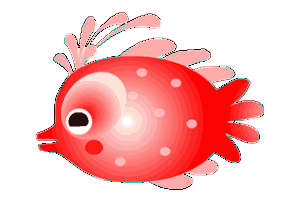 你说鲫鱼这么鲜嫩会不会吃进肚子里时也感觉有小鱼在游啊游?