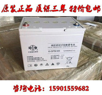 Shuangdeng battery 12V65AH 6-GFM-65 UPS power supply DC screen photovoltaic solar EPS dedicated
