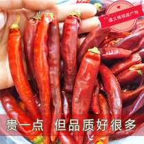 Guizhou specialty Zunyi dried chili shrimp town strip chili dry goods dry spicy corner 500g cooking stir-fry hot pot