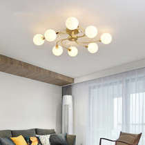 Nordic Living Room Suction Dome Lamp Modern Minimalist Designer Art Master Bedroom Lamp Creative Personality Restaurant Lighting Net Red