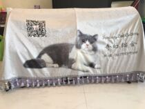 Pragmatism cage cover sturdi and other cage custom embroidery publicity cover United States sturdi and other cage custom embroidery publicity cover United States sturdi and other cage custom embroidery publicity cover United States sturdi