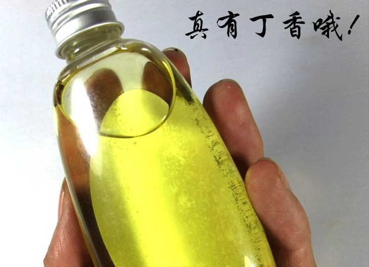 a鱼饵鱼饵油丁香钓鱼小药秋冬丁香诱鱼剂沾蚯蚓泡药米黑坑100毫升鲫鱼nina微博图片