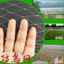 Bird net Orchard bird-proof grape cherry rice fish pond airport farming protection anti-hail net fruit tree nylon wire net