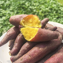 Linan Tianmu Mountain Sweet Potatoes Fresh Sweet Potatoes Yellow Heart Small Sweet Potatoes Sweet Potatoes Sweet Potatoes Vegetables 10kg Sweet Potatoes
