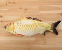 Removable and washable simulation 3D funny tricky crucian carp doll plush toy pillow children Girl gift photo props
