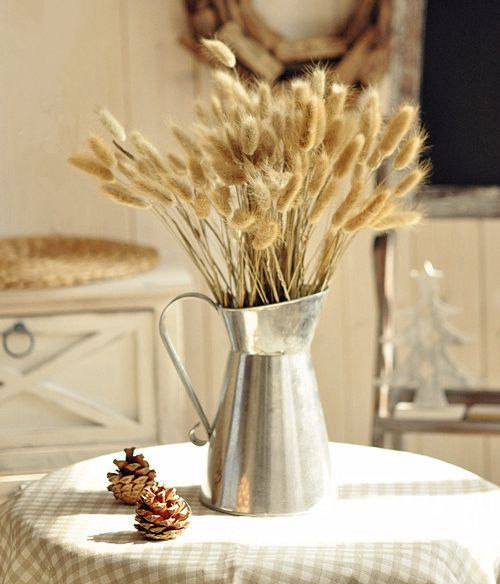 沉鱼干花干草兔尾巴草兔尾草家具装饰花卉文艺桌面插花特价