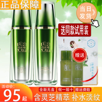 Pine antelope Herbal Muscle Fresh Water Milk Two-Piece Set Women Moisturizing Deep Moisturizing Skin Care Officials