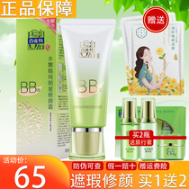 Pine antelope BB cream water tender pure star repair cream nude makeup concealer strong moisturizing oil control isolation liquid foundation