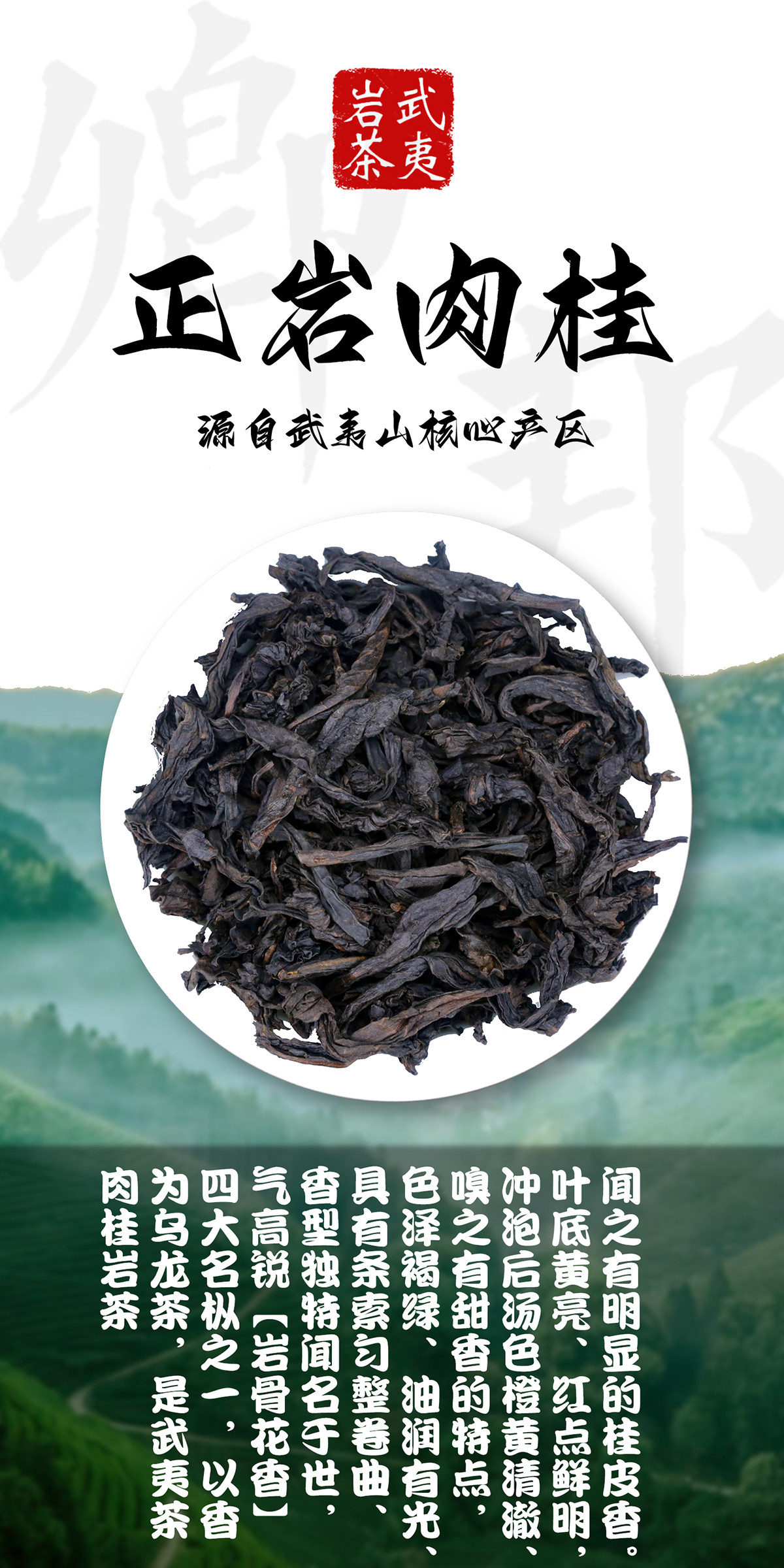【一箱/500克】正岩肉桂散茶武夷山岩茶乌龙茶礼盒装2