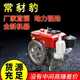 China Changzhou 해양 농업 단일 실린더 수냉식 R195 디젤 엔진-스몰 12 마력 손 받침 디젤 엔진 China Changzhou 해양 농업 단일 실린더 수냉식 R195 디젤 엔진-스몰 12 마력 손 받침 디젤 엔진