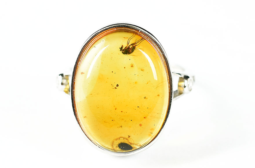 【大颗昆虫包体】3.50克 925银镶大蛋面虫珀戒指 琥珀扳指 强荧光