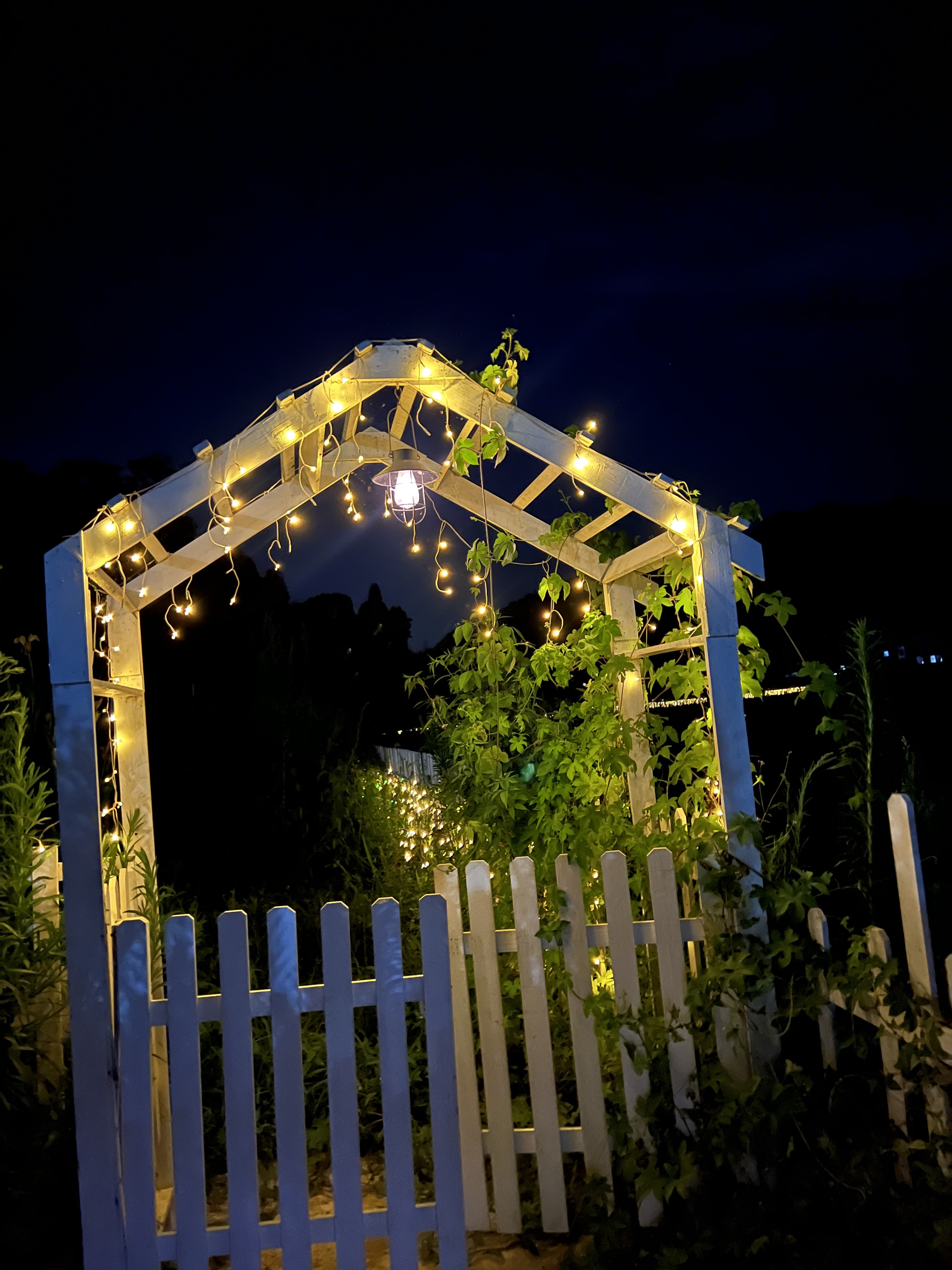 led防水彩灯闪灯串灯满天星家用户外挂树上装饰氛围布置星星灯串