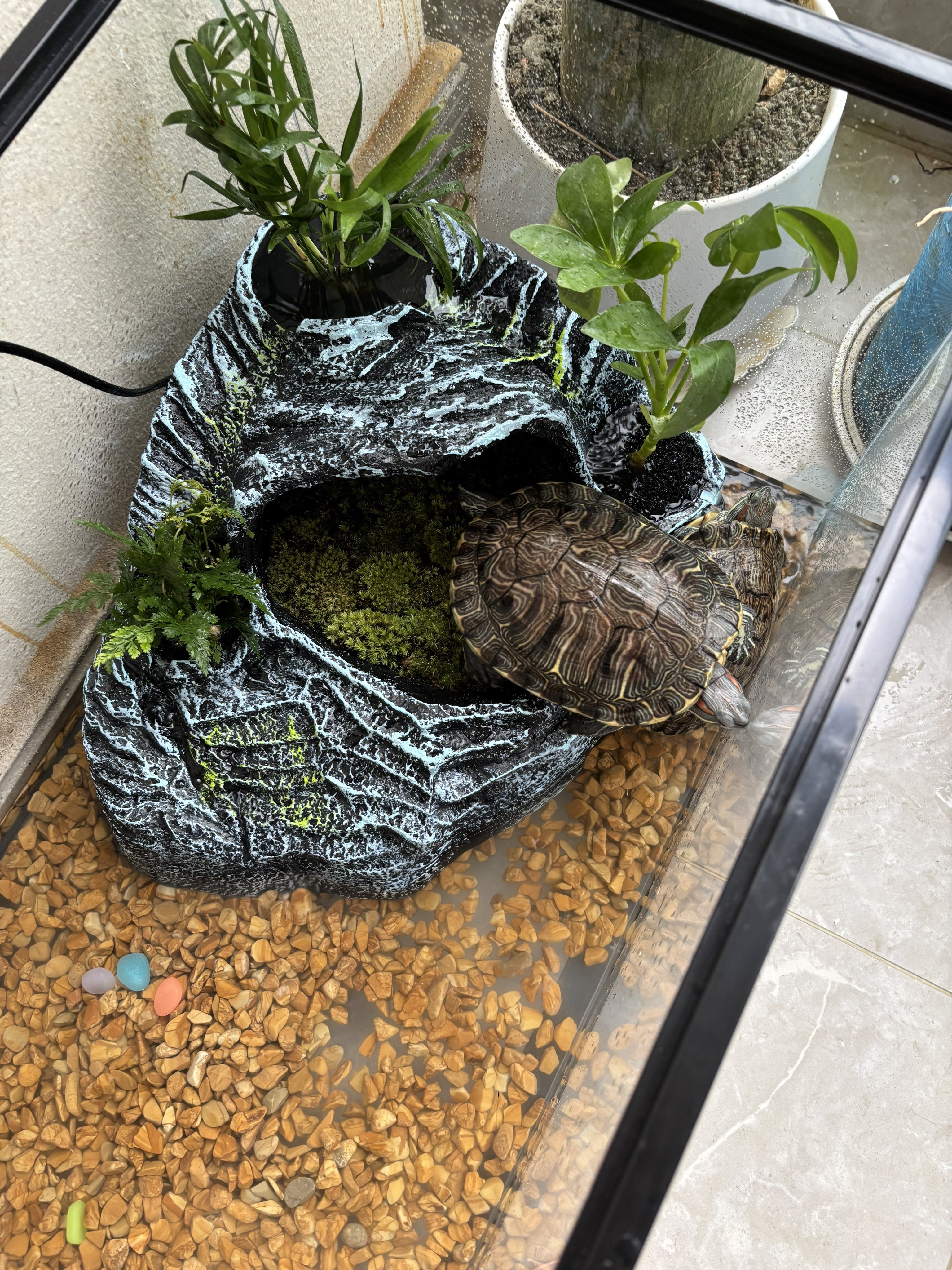 超白玻璃家用乌龟缸小别墅饲养箱带晒台生态鱼缸造景养乌龟专用缸