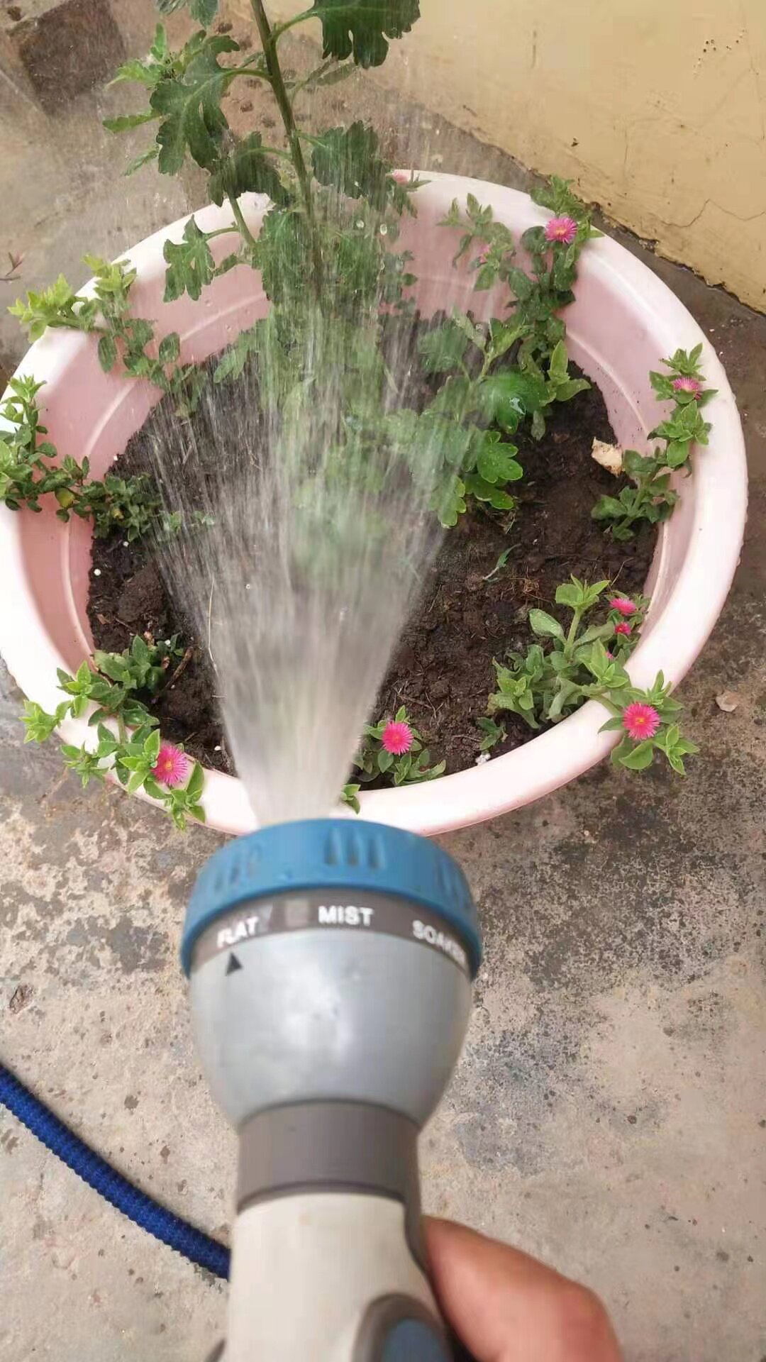 浇花洗车水枪家用水管软管浇水神器花园淋花菜园浇菜喷水花洒喷头