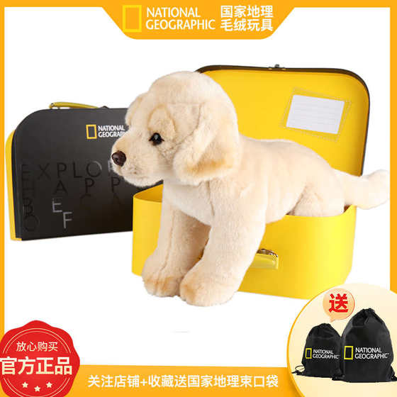 Graduation season Children's Day 520 Gifts National Geographic Plush Toys Cute Pet Cat and Dog Series
Graduation season Children's Day 520 Gifts National Geographic Plush Toys Cute Pet Cat and Dog Series