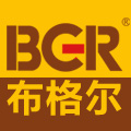 bgr旗舰店