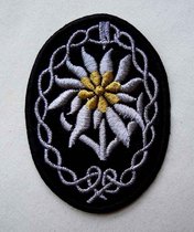 Deutsche Bundeswehr Mountain Force officer Snow suede sleeves Mountain Division Embroidered Alpine Bravery Arm Badge