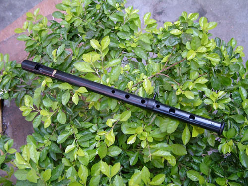 爱尔兰风笛 哨笛 锡口笛 竖笛 苏萨特高音d调