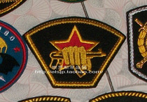 Russian Interior Ministry Warriors Special Forces Arm Chapters