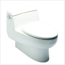American standard special IDS CP-2050 One-piece toilet 305mm
