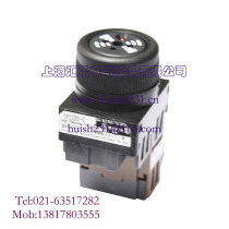 FUJI FUJI LED Indicator DR22B5-EB