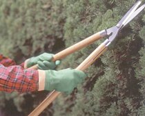 SHOWA Japanese still and acid-resistant Oil Resistant Construction Garden Exclusive Gloves 600 M yards