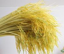 Simulation straw Rice Rice Rice Rice rice flower artificial fake rice ear pastoral style Chinese minor decoration