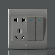 Color silver switch socket Jane switch panel socket with switch 10a two open double five holes