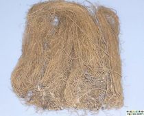 New North Asarum Liao Asarum root removes leaves and washes to remove sediment