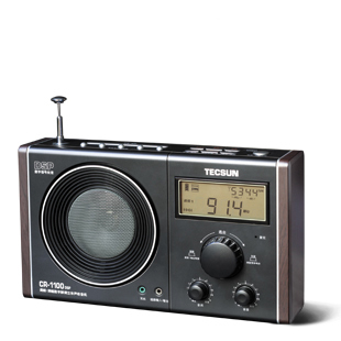 Tecsun Cr-1100dsp  -  8