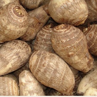 农家5斤包邮里芋香芋芋艿 2015山东特产新鲜农家芋头毛芋头芋艿