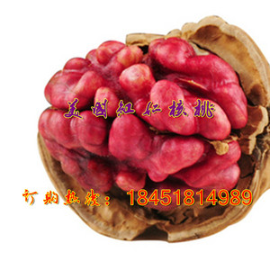 出售果树苗木批发核桃树苗 红皮核桃苗 美国红