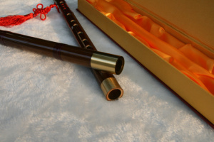 笛子视频教程 光盘 专业竹笛视频教材书 初学者