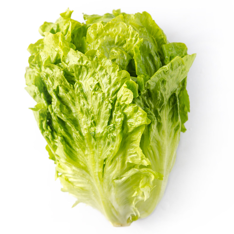 【天猫超市】精选生菜500g新鲜蔬菜 16:00截单